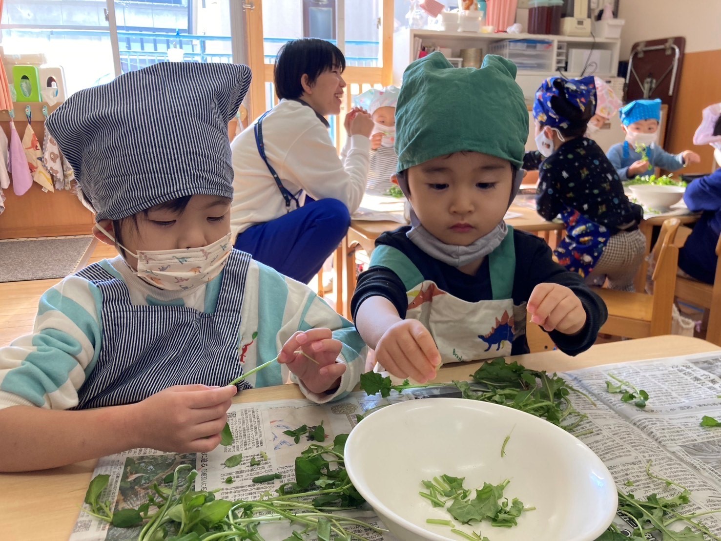 七草ちぎり（はな組）